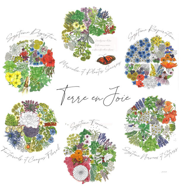 Project for a herbarist