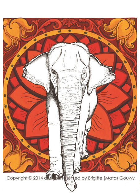 Postcard Project: Srilankan Elephant